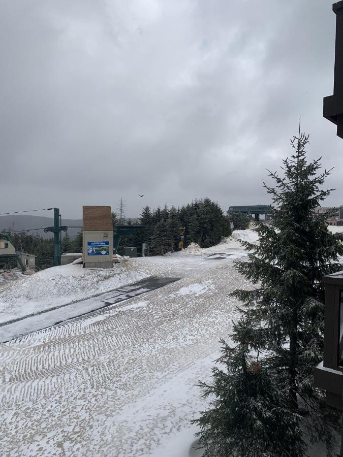 Highland House 207 Slopeside, Village Area, Ski In Out Snowshoe Zewnętrze zdjęcie